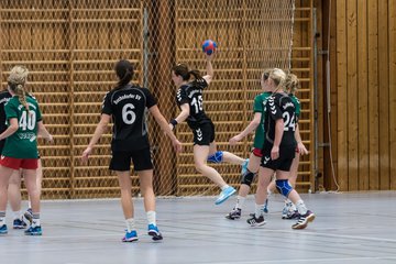 Bild 209 - Damen HSG Kremperheide/M�nsterdorf - Suchsdorfer SV : Ergebnis: 39:22